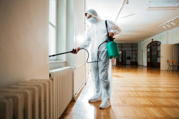 Real Estate Pest Inspections in Zephyrhills South, FL